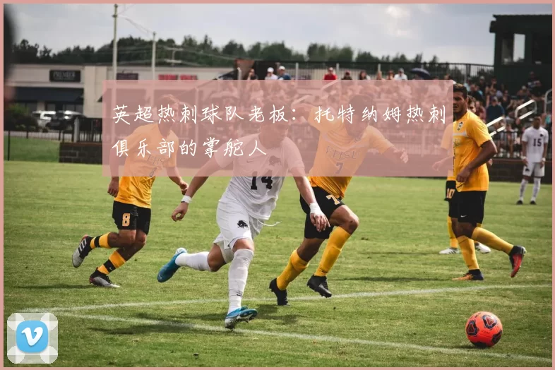 英超热刺球队老板：托特纳姆热刺俱乐部的掌舵人