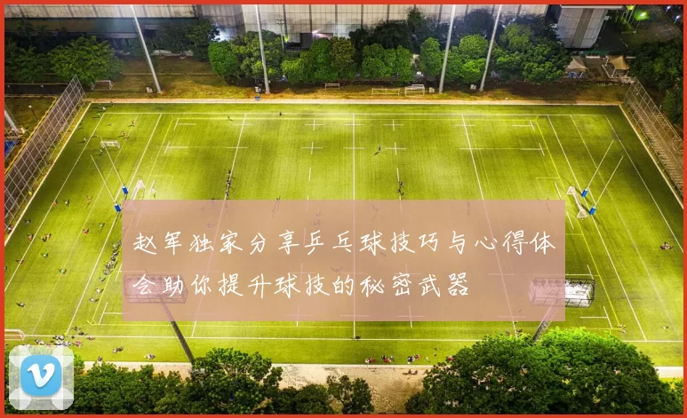 赵军独家分享乒乓球技巧与心得体会助你提升球技的秘密武器