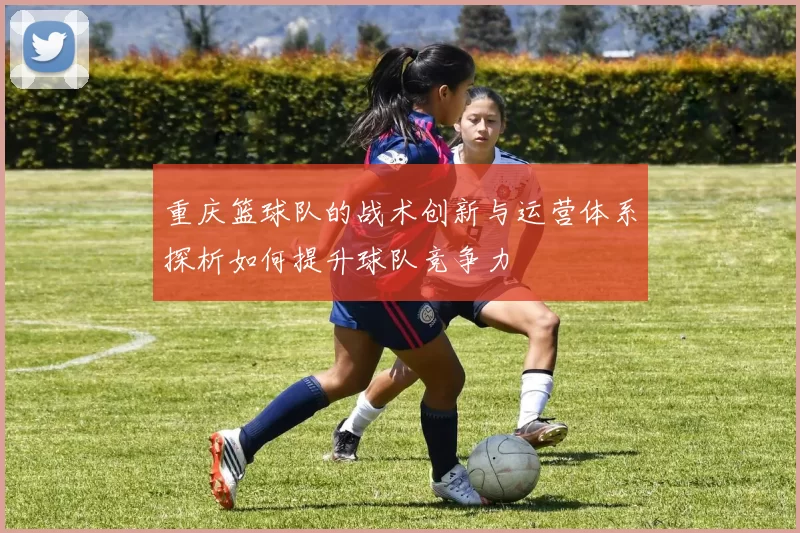 重庆篮球队的战术创新与运营体系探析如何提升球队竞争力