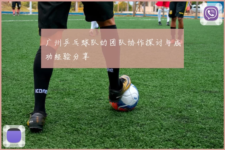 广州乒乓球队的团队协作探讨与成功经验分享