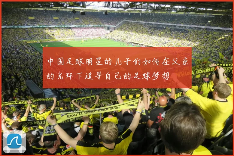 中国足球明星的儿子们如何在父亲的光环下追寻自己的足球梦想
