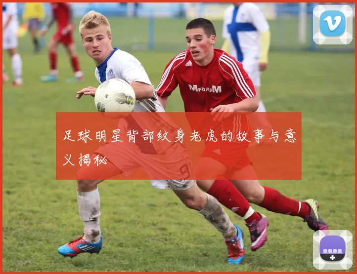 足球明星背部纹身老虎的故事与意义揭秘