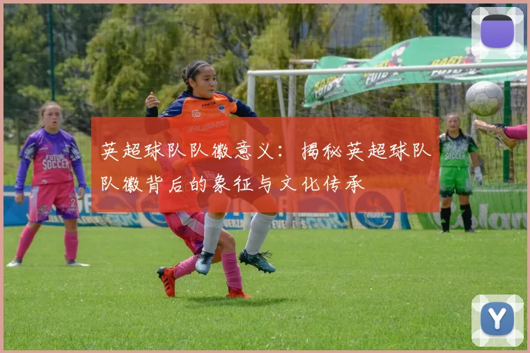 英超球队队徽意义：揭秘英超球队队徽背后的象征与文化传承