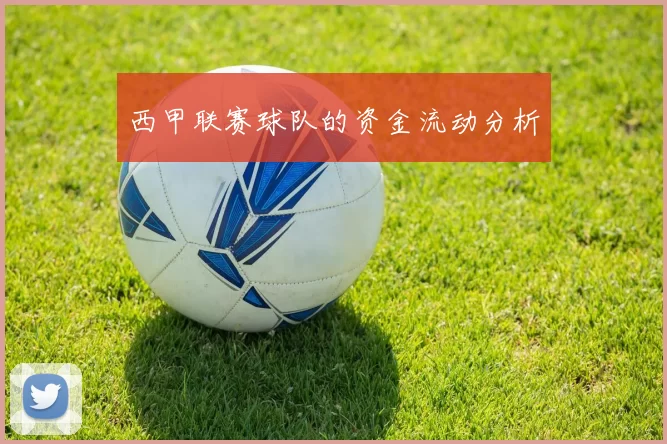 西甲联赛球队的资金流动分析