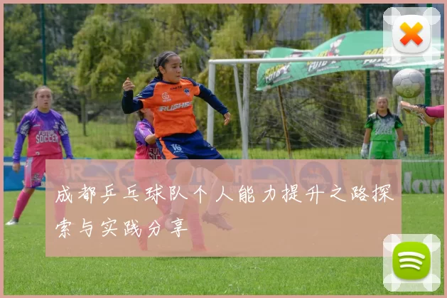 成都乒乓球队个人能力提升之路探索与实践分享