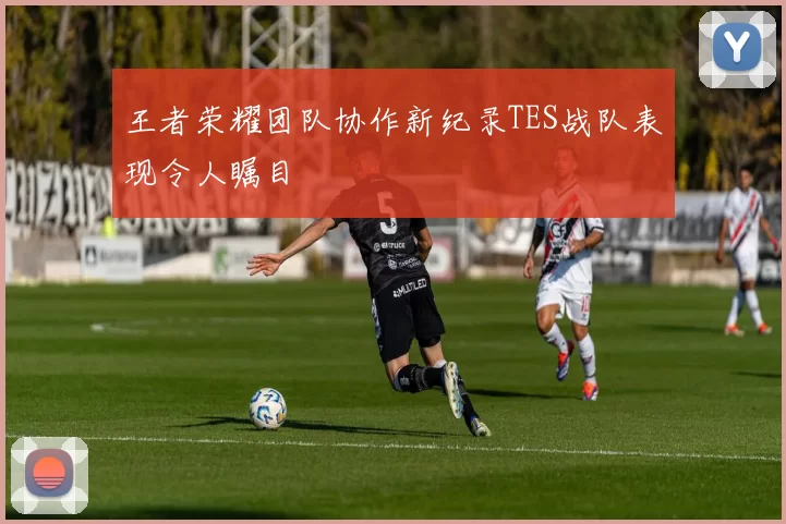 王者荣耀团队协作新纪录TES战队表现令人瞩目