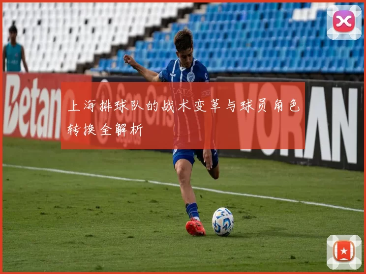 上海排球队的战术变革与球员角色转换全解析