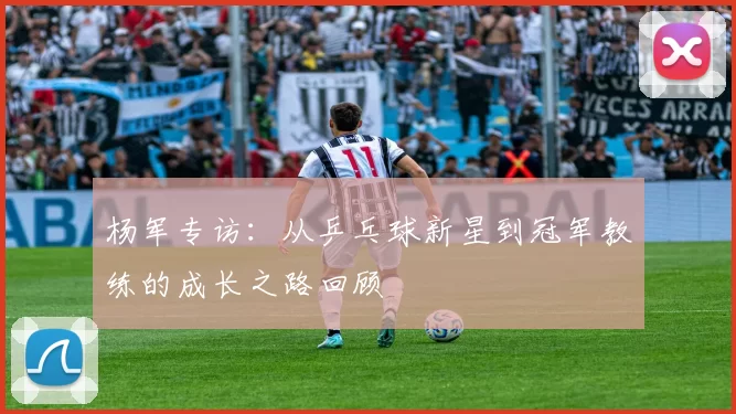 杨军专访：从乒乓球新星到冠军教练的成长之路回顾