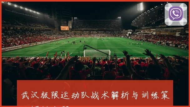 武汉极限运动队战术解析与训练策略探讨专题
