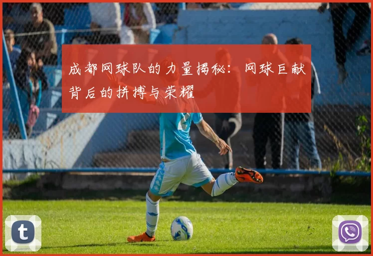 成都网球队的力量揭秘：网球巨献背后的拼搏与荣耀