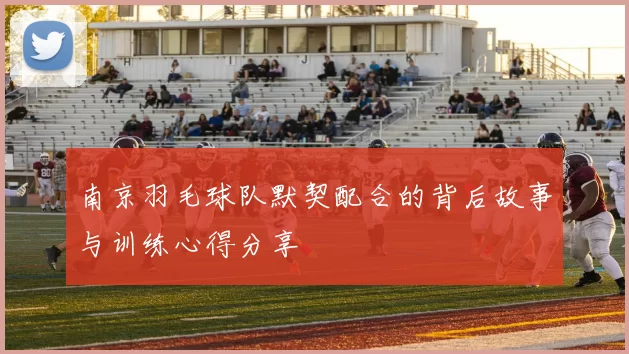 南京羽毛球队默契配合的背后故事与训练心得分享