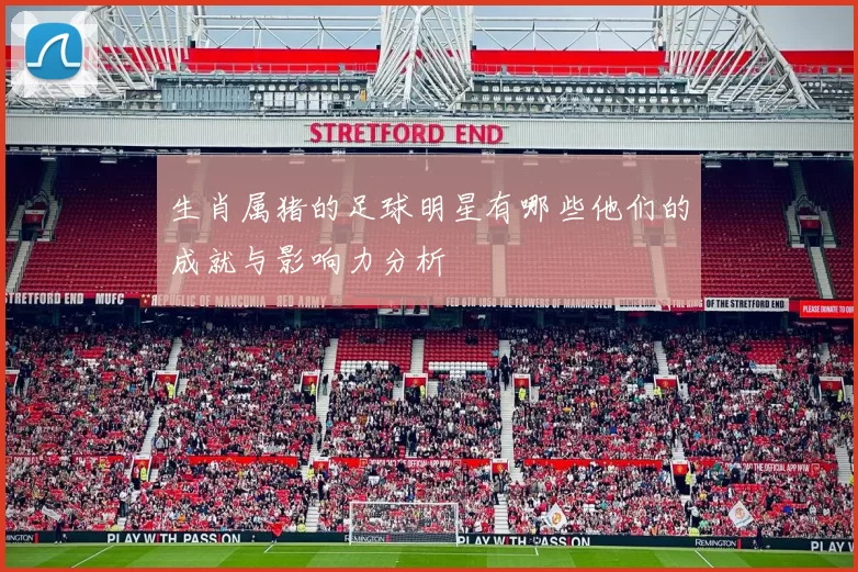 生肖属猪的足球明星有哪些他们的成就与影响力分析