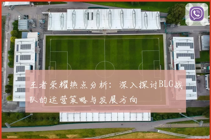 王者荣耀热点分析：深入探讨BLG战队的运营策略与发展方向
