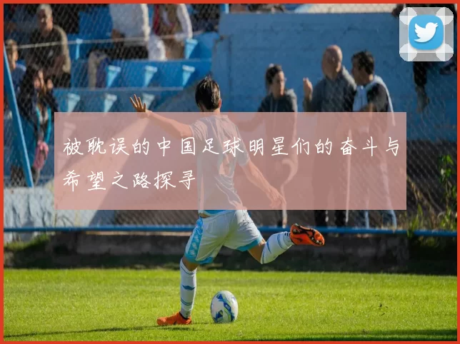 被耽误的中国足球明星们的奋斗与希望之路探寻