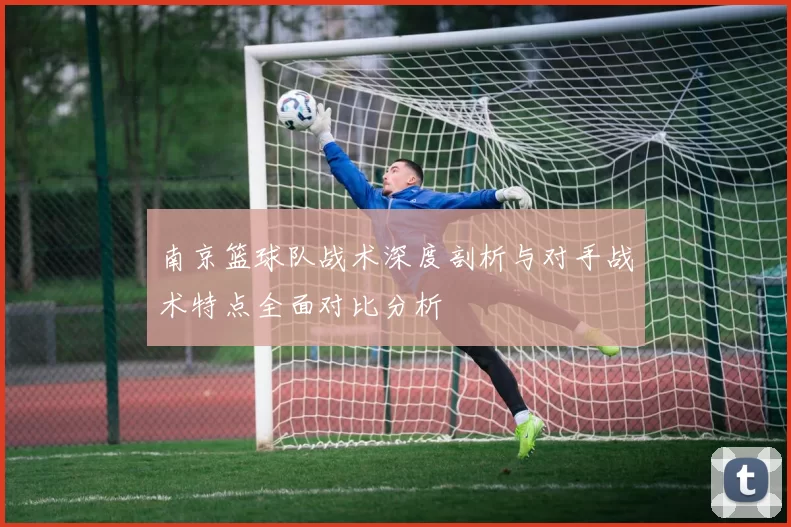 南京篮球队战术深度剖析与对手战术特点全面对比分析