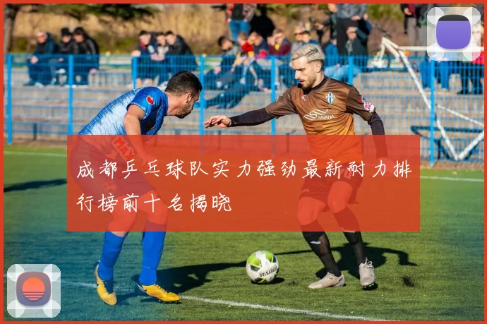 成都乒乓球队实力强劲最新耐力排行榜前十名揭晓