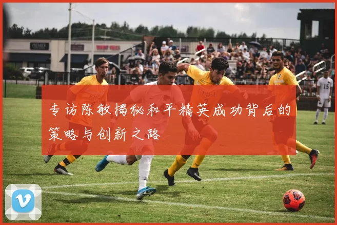 专访陈敏揭秘和平精英成功背后的策略与创新之路