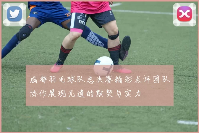 成都羽毛球队总决赛精彩点评团队协作展现无遗的默契与实力