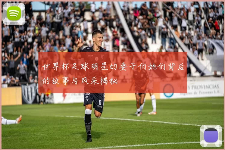 世界杯足球明星的妻子们她们背后的故事与风采揭秘