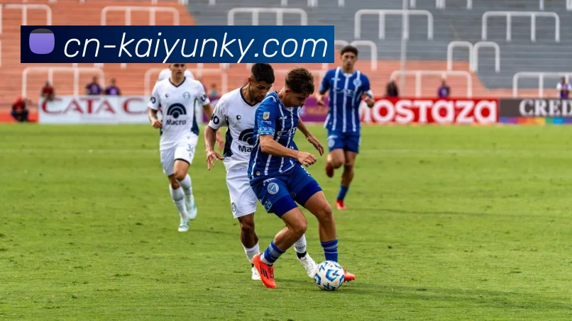 开云下载平台生态图