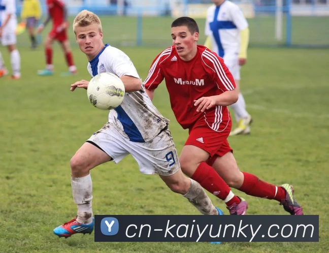 开云下载APP 封面图